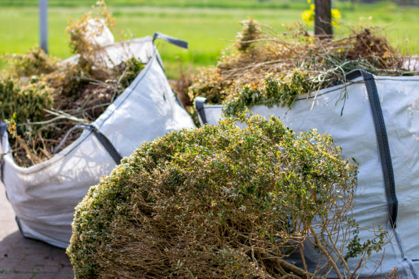 Basement Cleanout Services in Snyderville, UT